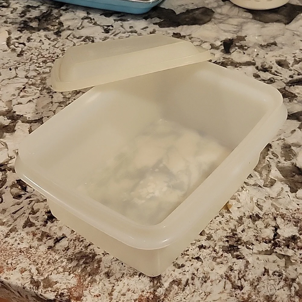 Vintage Ice Cream Container with Snap On Carrying Case 1990's - Picture 3 of 4
